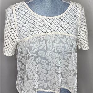 Abercrombie & Fitch Cream Crop Floral Burnout Velvet Shirt